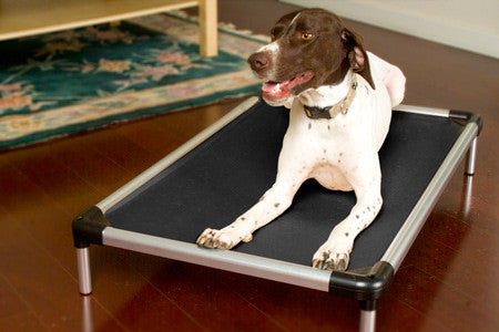 chew proof dog beds for chewers