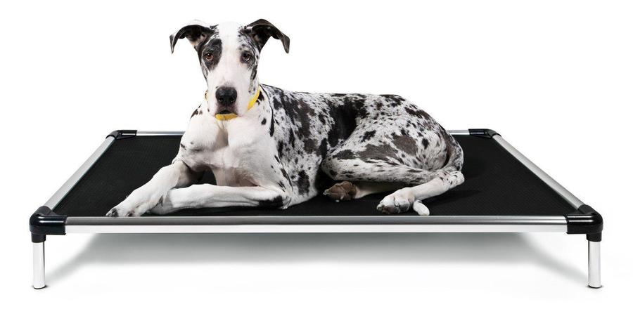Chew-Proof Dog Beds  Tear-Resistant Dog Beds for Sale