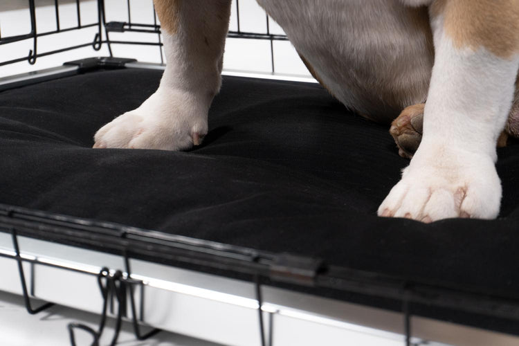 Chew-Proof Padded Dog Crate Pad