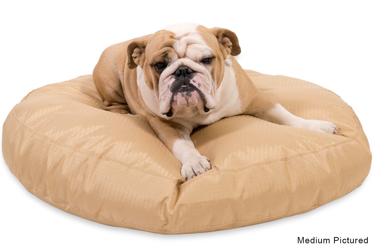 chew-resistant round dog bed