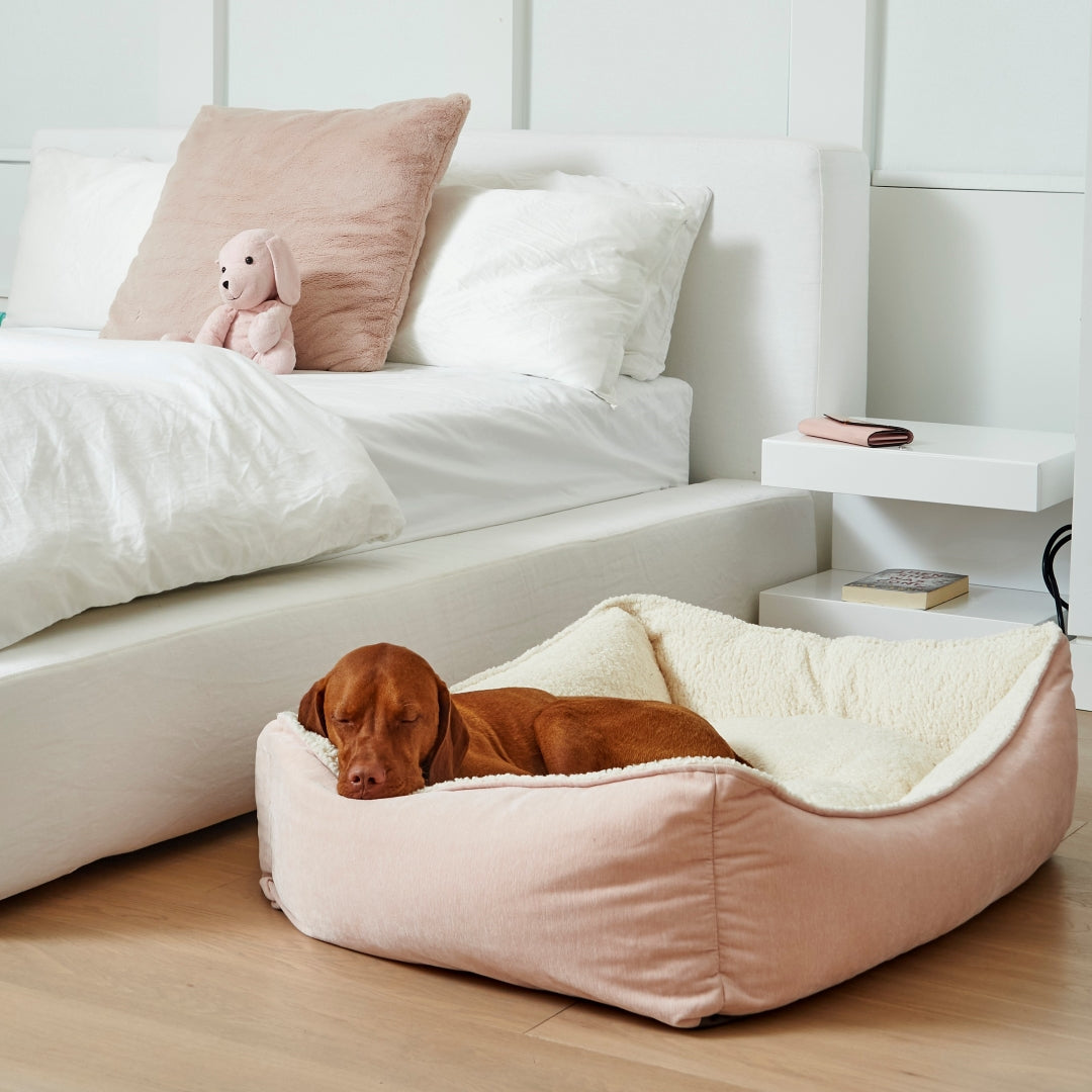 Dog Beds