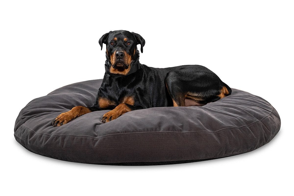 Chew-Resistant Dog Beds