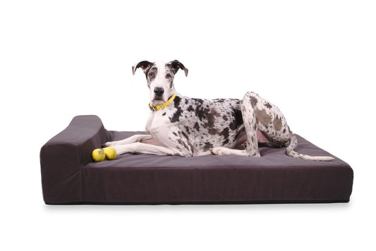 big dog beds with bolster large breeds