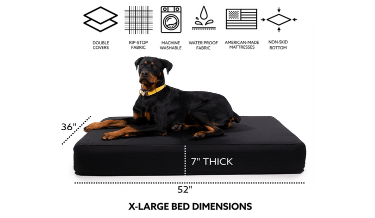 big dog beds for large breed dogs