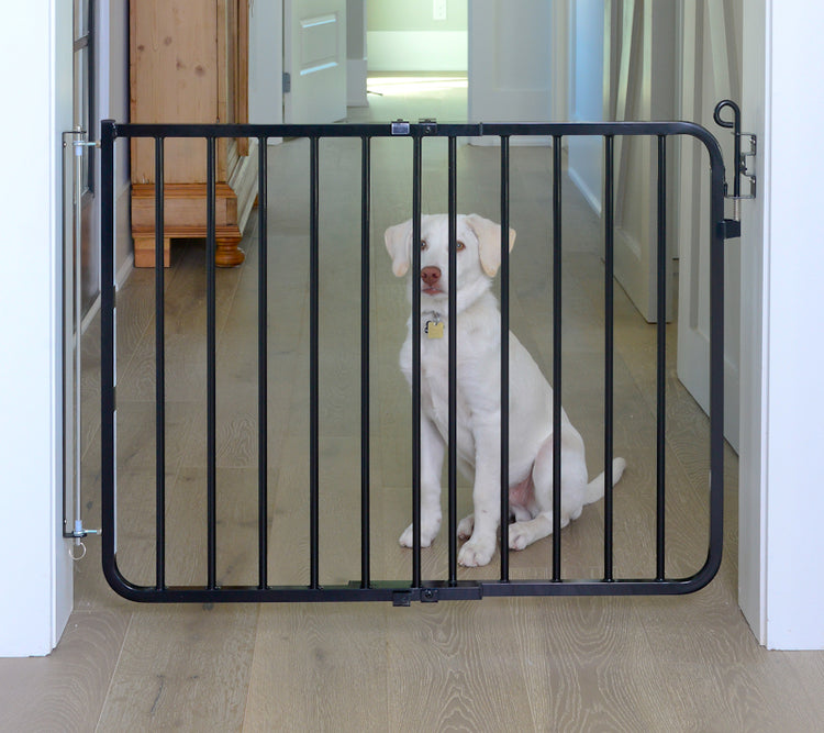 black autolocking dog gate