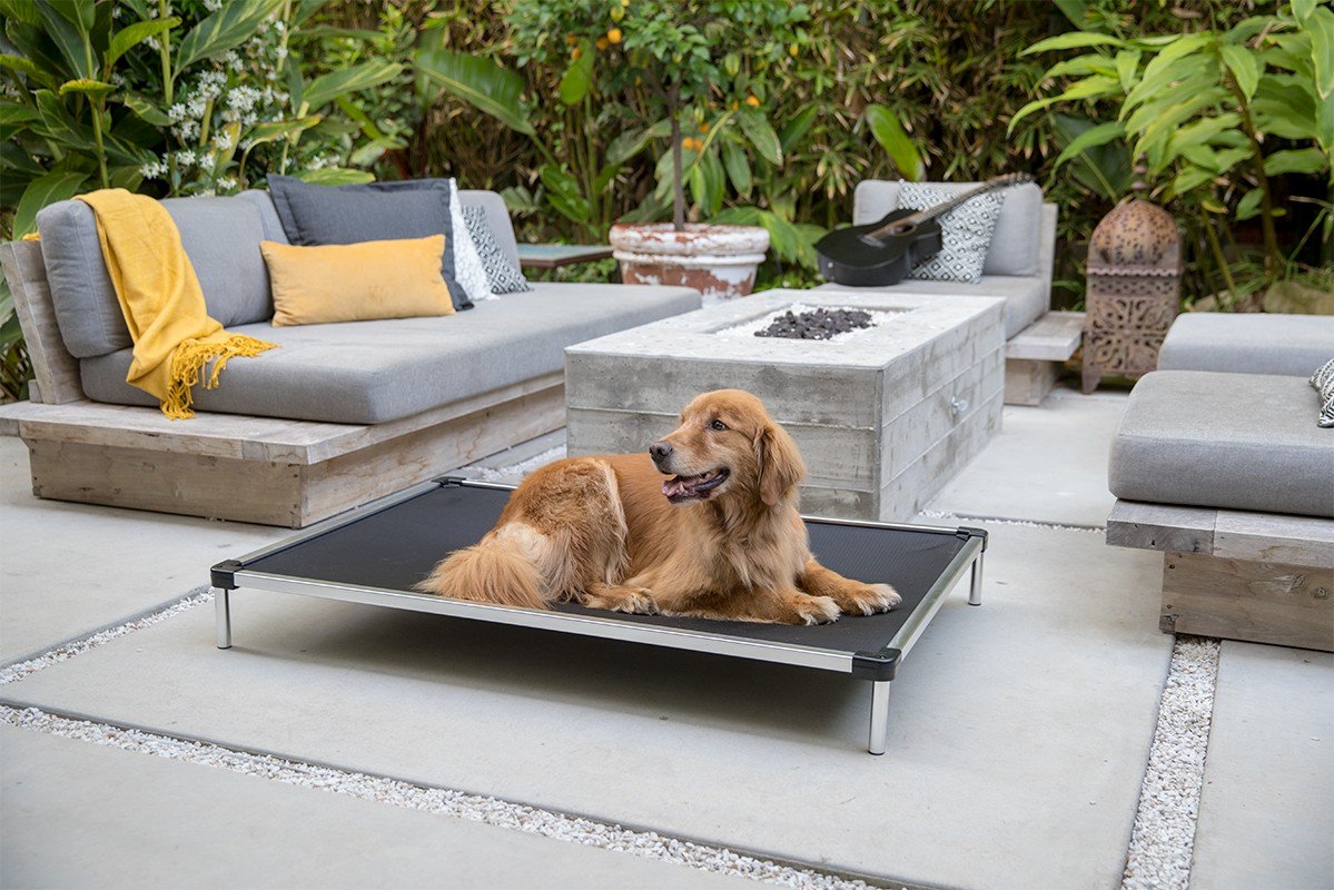 Chew proof elevated dog bed
