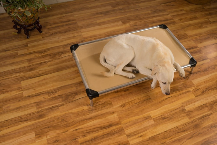 chew proof dog bed elevated