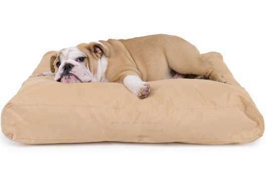 chew-resistant dog bed