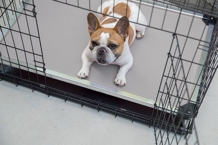 chew proof dog bed crate