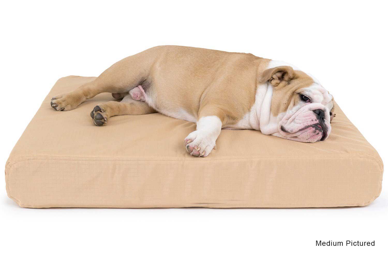 chewproof memory foam dog bed