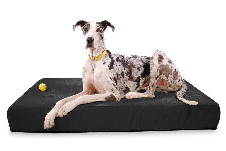 Dog beds for great danes
