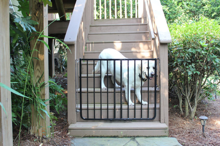 Outdoor Safety Dog Gate