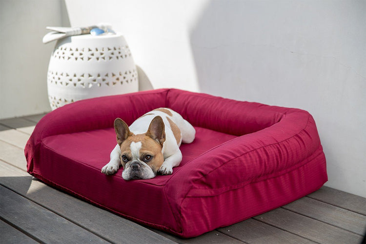 Chew resistant bolstered tough dog bed