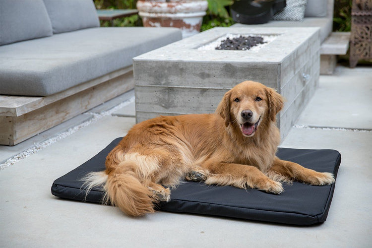 chew-resistant orthopedic dog crate pad bed