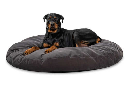 round chew-proof dog bed