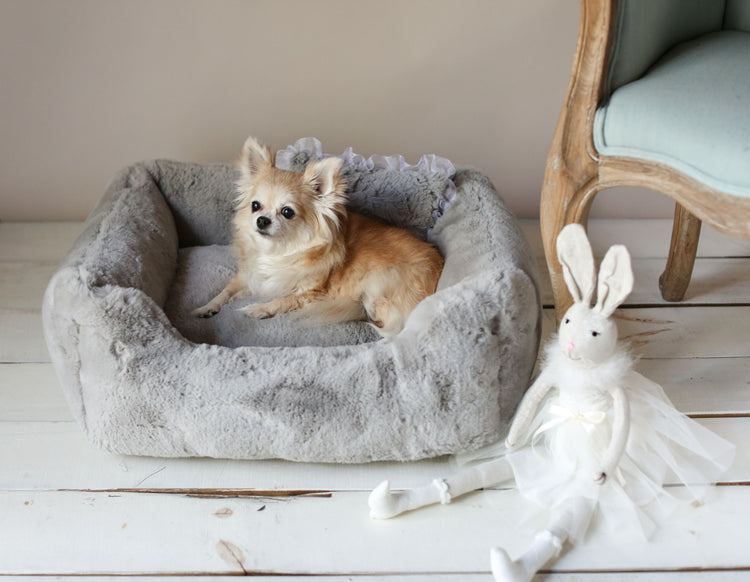 Small luxury designer dog bed