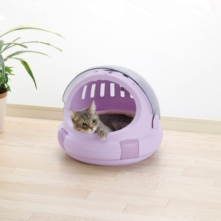 cat inside pet carrier and bed