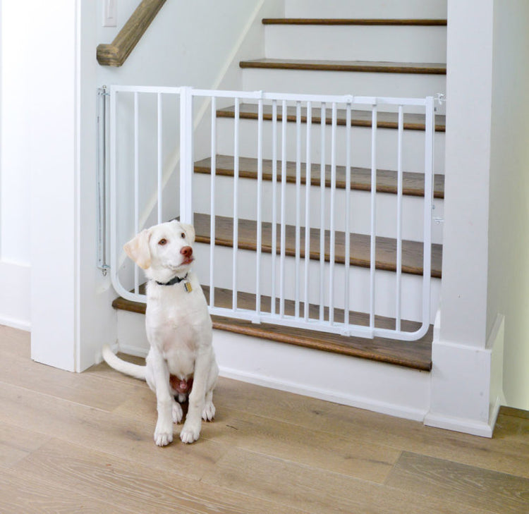 Stairway Special Dog Gate (Indoor)