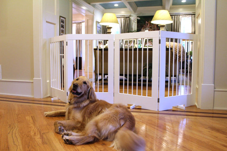 4-Panel Freestanding Pet Gate